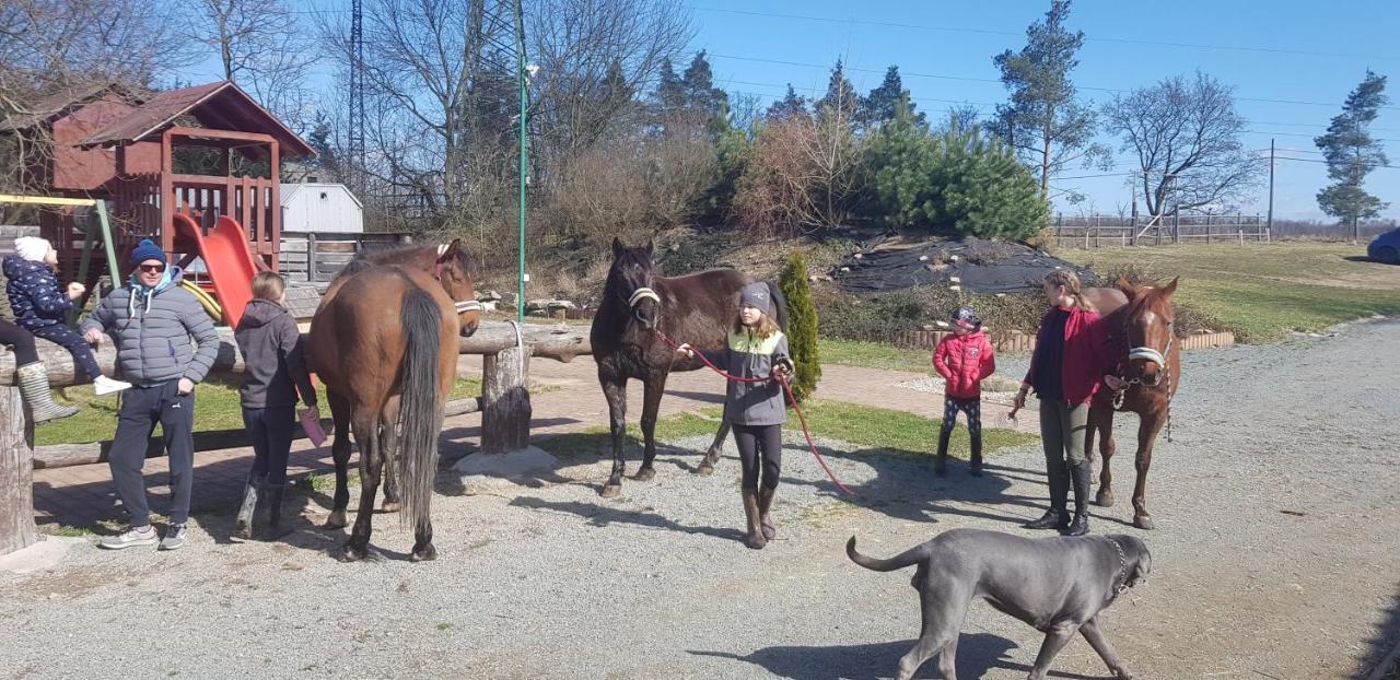 Ranc Orlice Villa Třebechovice pod Orebem Eksteriør billede