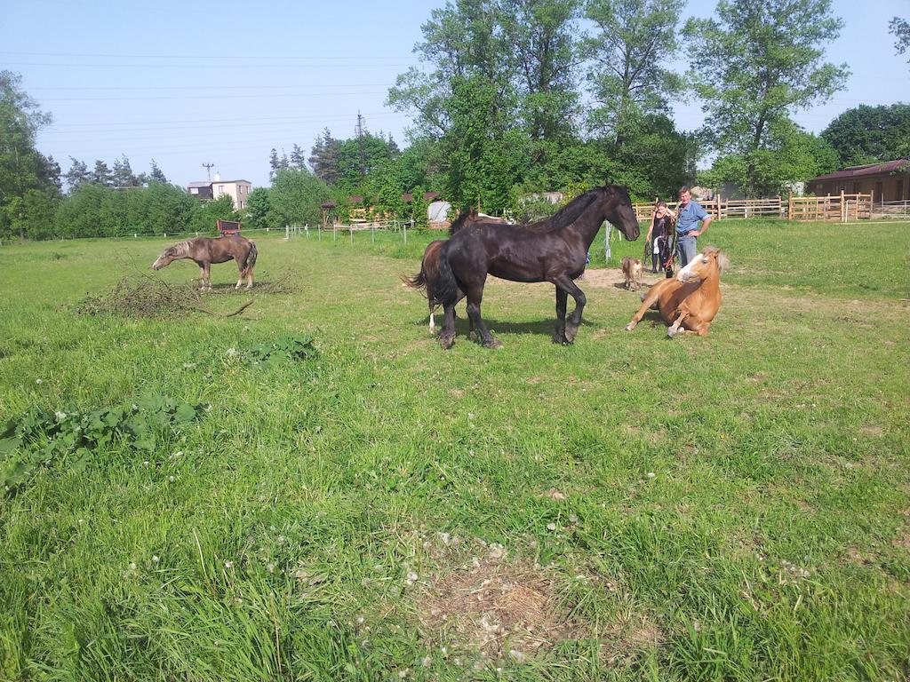 Ranc Orlice Villa Třebechovice pod Orebem Eksteriør billede